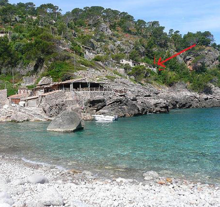 can dofi situation deia