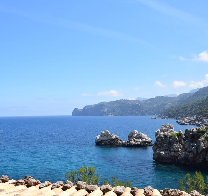 can dofi situation deia